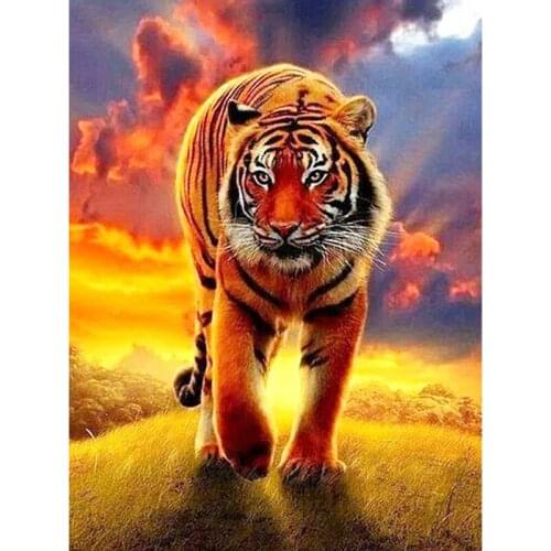 Full Square/Round Diamond Painting Animal 5D DIY Diamond Embroidery Cat Cross Stitch Kit Picture of Rhinestones Mosaic Sale