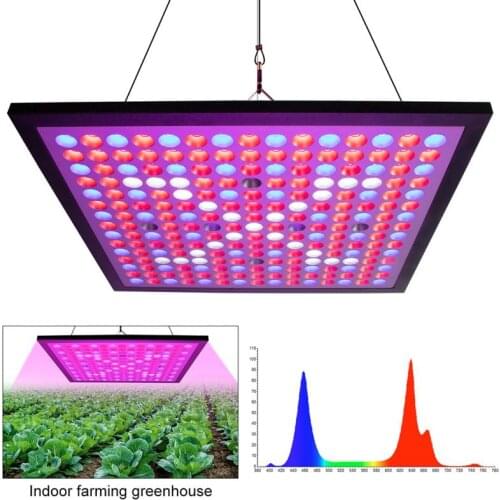 LED Grow Light Panel Full Spectrum Phyto Lamp For Indoor Plants Flowers Greenhouse Seedlings Growth Light 2021 Growing Lamps HWC
