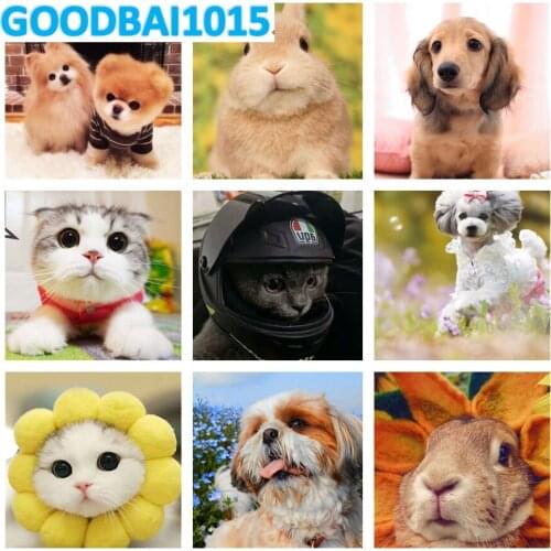 Cute Animal Diamond Embroidery Full Round Square Diamond Painting Cross Stitch Kits 5D Diy Mosaic Home Decor Child Gift