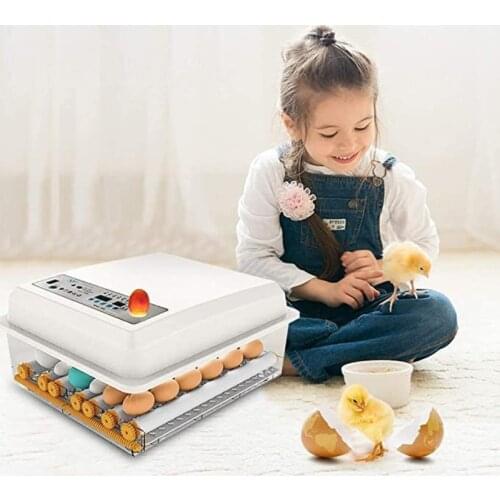 36 Eggs Egg Incubator Fully Automatic Digital Mini Brooder Small Chicken Bird Egg Incubator Automatic Farm Incubation Tool EU
