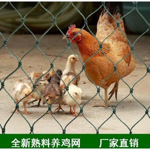5m/10m/50m Garden protection net Gardening net Decorative Orchard bird net Poultry farming fence You can customize the size