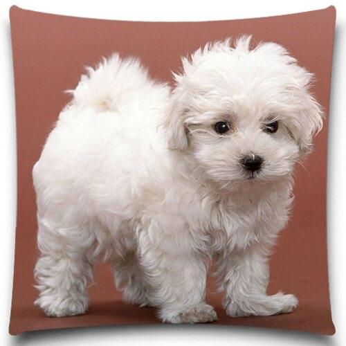 A little white dog Cushion Cover Home Decorative 5 Size 9 style Cotton Polyester Pillow Case Christmas Halloween Gift