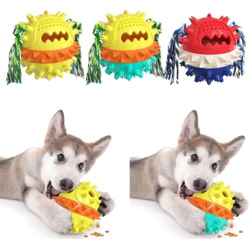 Interactive Pet Dog Chew Toys Rubber Molar Ball Rope Indestructible Toy