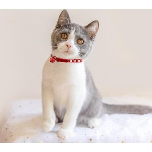 Cat Collar With Safety Buckle Soft Velvet Cat Collar Crystal Jeweled With Bell Fashion Necklace For Kitten Kitty