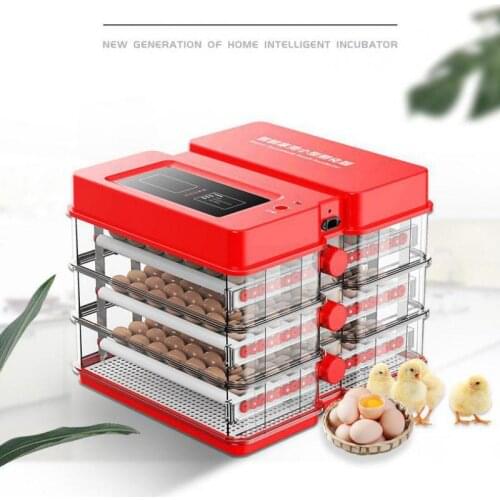 Intelligent Small Incubator Full Automatic Household Type Mini All In One Incubator Intelligent Chicken Incubator Incubator