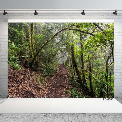 Mountain Road Woods Trees Photography Backdrop Computer Printed Backgrounds for Children Baby Portrait Photoshoot Photo Studio