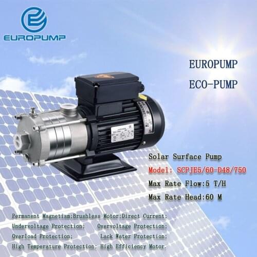 EUROPUMP MODEL(SCPJE5/60-D48/750)Hot Sale Stainless Strainer Submersible 48V DC Solar Well pump booster pressure surface Bomba