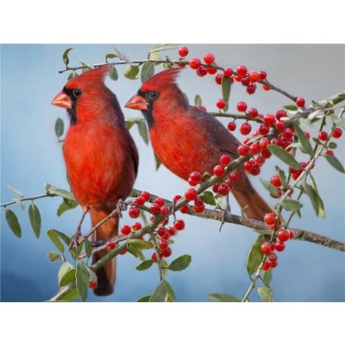 Diy Diamond Animal cardinal Full Drill Painting Cross Stitch Suit Animal sparrow Diamond Embroidery Home Decoration bird