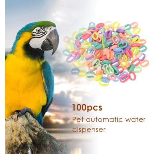 100Pcs/Pack Parrot Foot Toys C Chain Links Bird Stand Chain Bird DIY Clips Hooks D7YB