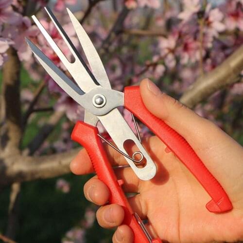 Garden Shears Double-edged Fruit Picking Scissors Bonsai Flower Cultivating Solid Snip Pruner Citrus Fruit Tree Flower Scissors