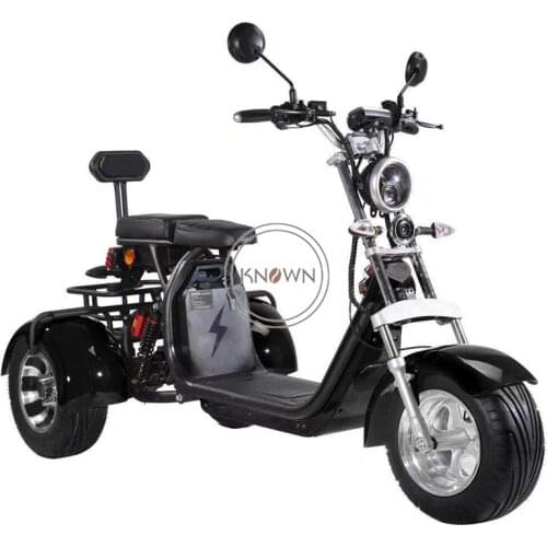 Adult Electric Tricycle For 25cm Wide Tire 3 Wheels Motorcycle Anti-theft Disc Brake Battery Removable