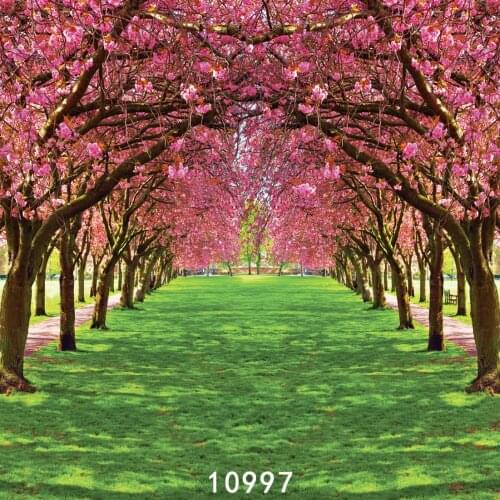 Spring Flower Tree Garden Path Photography Backdrops Backgrounds for Photo Studio Photo Shoot Vinyl Cloth Computer Printed 3D