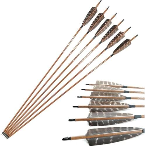Pinals Archery Spine 400 500 600 Pure Carbon Arrows Shaft Turkey Feather Vanes Nock for Compound Recurve Bow Longbow Hunting