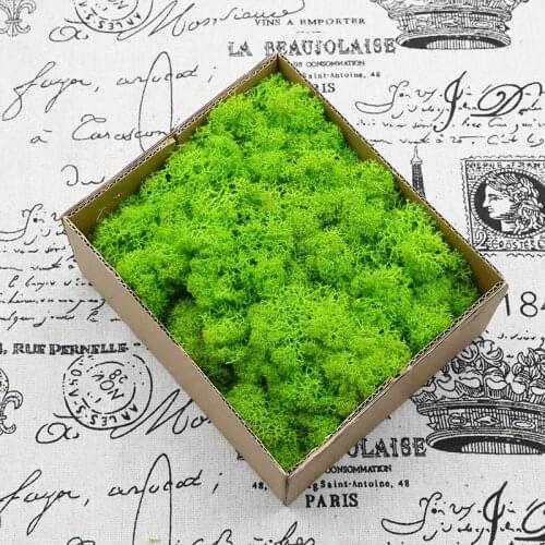 100g Artificial Plants Eternal Life Moss Home Garden Decoration Outdoor Wall Micro Landscape Fake Moss Wedding Wall Decoration
