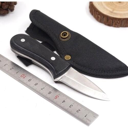 Fixed Blade Hunting Knife Small Straight Knife Outdoor Camping Hiking 440C Blade Wood Handle Tactical Survival Knives