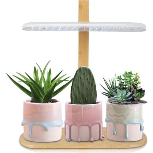 Hollyton Plant Lamps