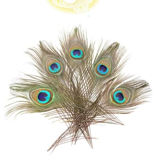 10Pcs 25-30cm Peacock Feather Home Vase Flower Arrangement Decorative Earrings Headdress Accessories Dyed Feather Crafts