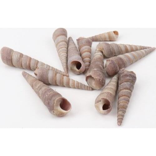 40-60mm Natural Spiral Shell no hole Beads for jewelry making DIY 20pcs TRS0046