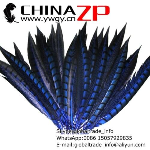 Wholesale in CHINAZP Factory 30-35cm Length 500pcs/lot Graceful Dyed Royal Blue Lady Amherst Pheasant Feather