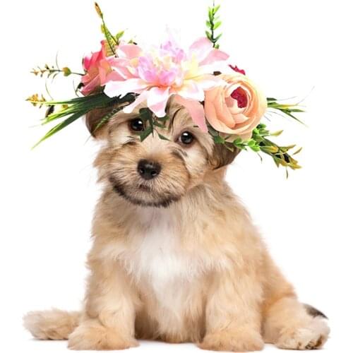 Pet Headband Creative Artificial Decorative Lovely Flower Headband Pet Headwear Cat Dog Clothing Accessories Pet Supplies