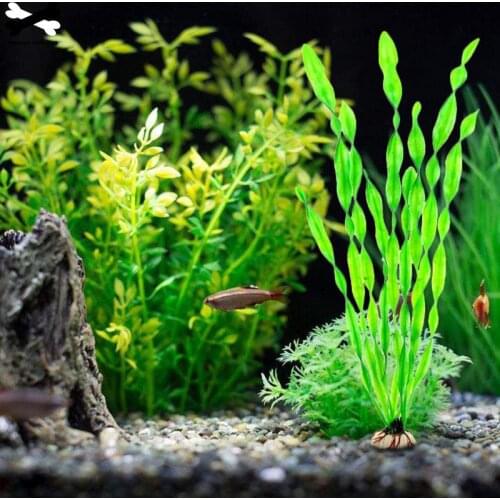 1 pcs Plastic Aquarium Plants Wonder Grass Ornament Decor Landscape for Fish Tank