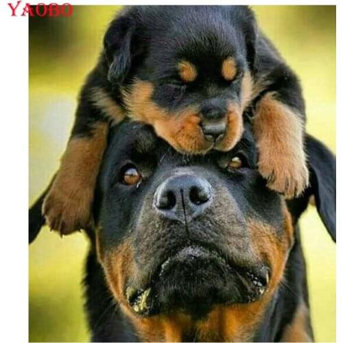 Diy diamond painting full round drill Diamond Embroidery Rottweiler dog picture,square Rhinestone,Mosaic diamond,Cross Stitch