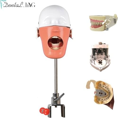Dental Simulator Manikin Phantom Dental Models With New Style Bench Mount For Dentist Teaching Model 360-degree Adjustment Tool