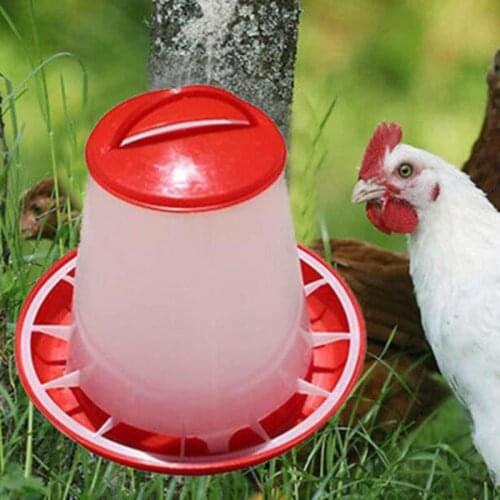 Chicken Quail Poultry Chick Hen Drinker Food Feeder Waterer Pet Supply