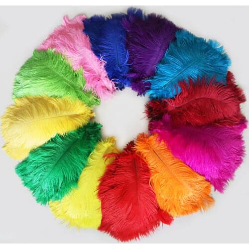 Ostrich feathers 20-25cm for craft wedding party supplies Carnival dancer decoration plumages