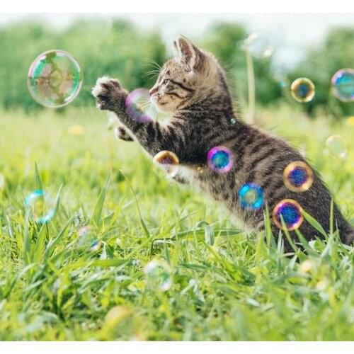 Automatic with RGB LED Lights Remote Control Bubble Blower for Party Birthday Festival Stage Xmas Holidays