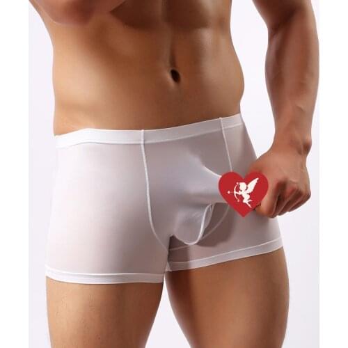 LEOSOXS Mens Silk Briefs