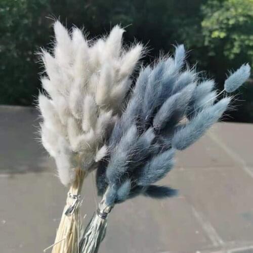50pcs/2-5cm head,Natural Dried flower Rabbit Tail branch,little Pampas Grass Eternal Display flowers For Wedding Home Decoration