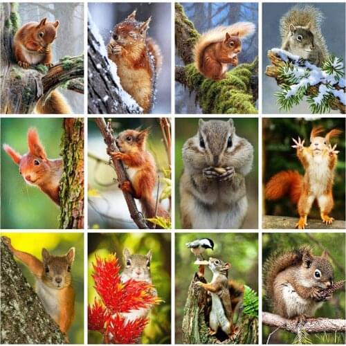 HUACAN Diamond Painting Kits Animal Home Decoration Mosaic Squirrel Embroidery Handmade Gift Diamond Art