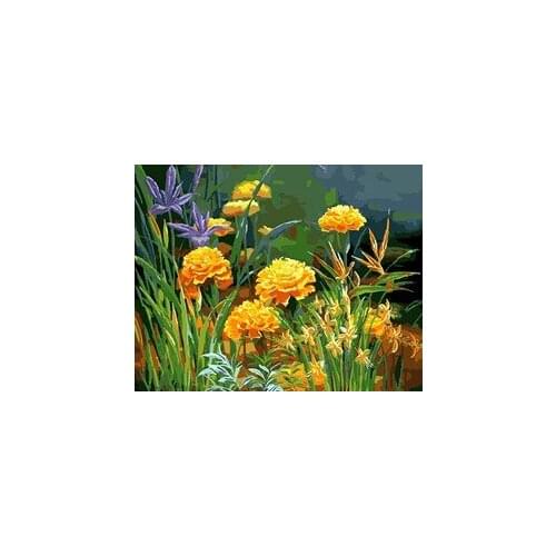 MaHuaf-X649 Marigold Framed Vintage Painting DIY Painting By Numbers Acrylic Picture Canvas Wall Art Unique Gift for Home Decor