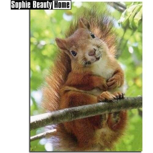 5D Diamond Painting Animals Squirrel Diamond Embroidery Full Square Diamond Mosaic Cross Stitch Landscape Home Decor 204106