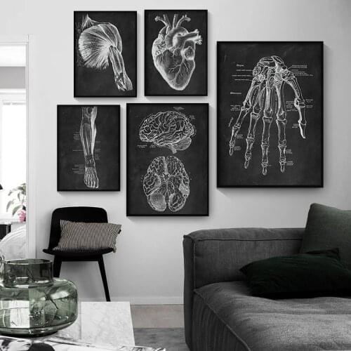 Human Anatomy Room Decor Skeleton Organ Muscle System Vintage Nordic Wall Art Pictures Canvas Painting Poster Prints Black White