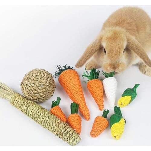 ZMONH Toys For Animals