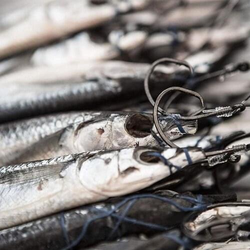 New Jigging Hooks High Carbon Steel Deep Ocean Fishing Tools Big Squid Hooks Barbed Fishing Jig Hooks Hook With Circle Grou P6D2