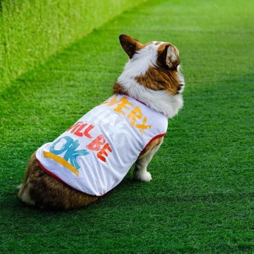 Mesh Dog Vest Summer Pet Dog Clothes Poodle Bichon Schnauzer Pug French Bulldog Welsh Corgi Clothing Samoyed Dog Costumes Shirt