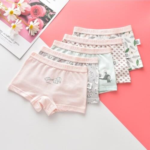 High Quality Teen Cartoon Underpants Cotton Child Girls Breathable Boxers Shorts Teenage Physiological Period Panties 5pcs/lot