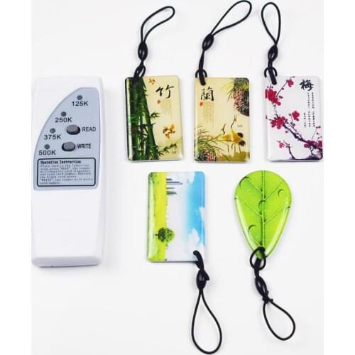 125KHz RFID ID Card Reader & Writer/Copier/Duplicator/Programmer+5pcs EM4305 T5577 Writable Tags Access Control