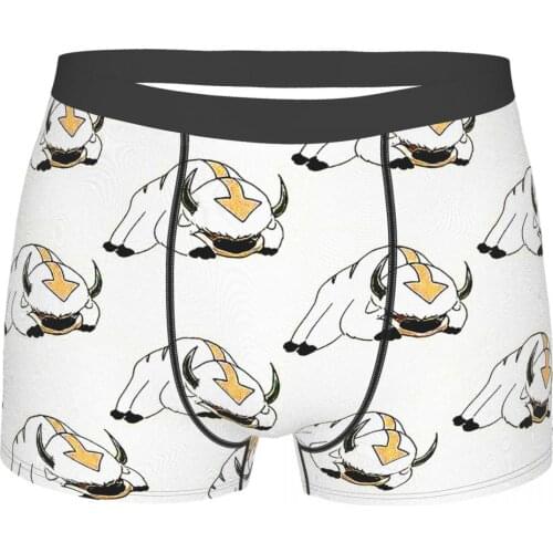 APPA Sleepy Head Avatar The Last Airbender Katara Aang Sokka Zuko Animated TV Series Underpants Cotton Panties Man Underwear