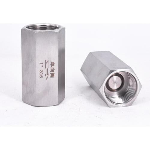 1/8" 1/4" 3/8" 1/2" 3/4" 1" BSP Female Hex One Way Check Valve Non-Return Inline 304 316 Stainless Steel