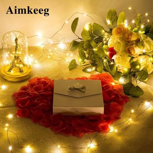 LED Holiday Light Bulbs Aimkeeg China