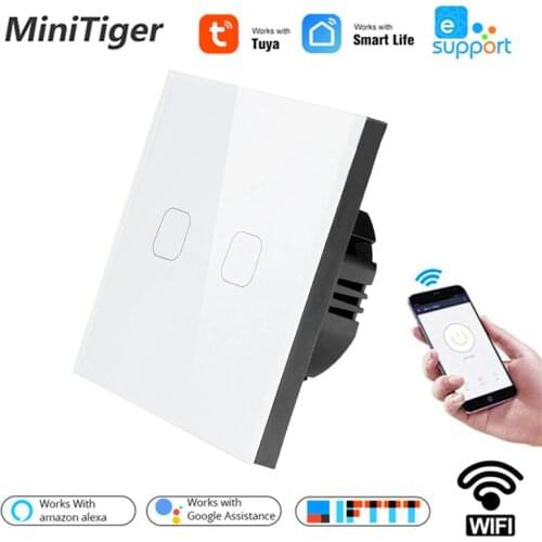 Smart EU Standard Tuya/Smart Life/ewelink 2 Gang 1 Way WiFi Wall Light Touch Switch for Google Home Amazon Alexa Voice Control