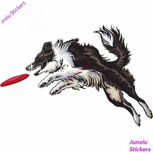 Funny Border Collie Car Stickers Windshield Decal Waterproof Vinyl Material Personality JDM SUV RV Fine Decal Decor PVC13x8cm