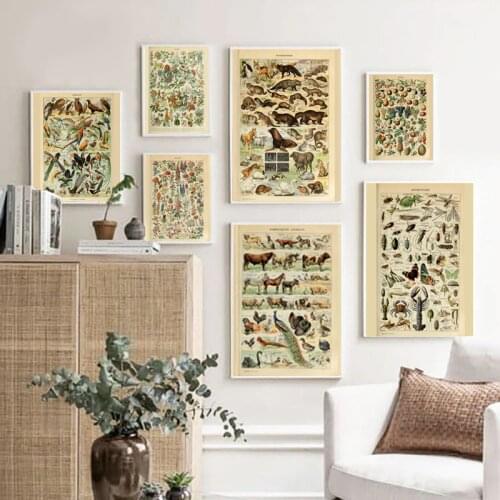 Vintage Nature Illustrations Vintage Posters and Prints Botanical Natural History Images Wall Art Canvas Painting Pictures Decor