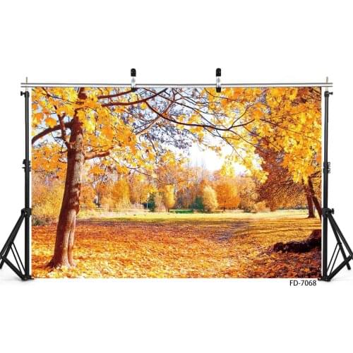 Autumn Gold Fall in Park Nature Photography Backdrop Custom Backgrounds Photo Studio for Children Baby Portrait Dolls Photophone