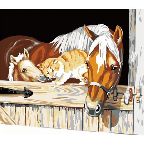 Orchid True Paint By Number No Frame For Adults Hand Painted Painting Art Gift Diy Coloring By Numbers Kits Home Decoration