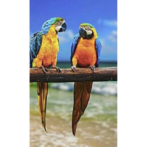 5D DIY Diamond Painting Parrot Picture Square Round Diamond Art Sale Animal Cross Stitch Kit Home Decoration WG2723